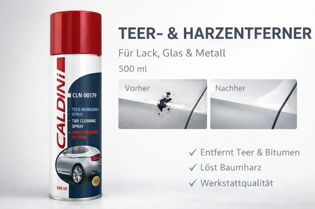 ebay-anwendung-Caldini-Teer-Reinigungsspray-500ml-vs.webp