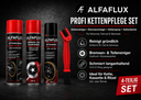 Alfaflux-Kettenpflege-Set-4-tlg-3.png