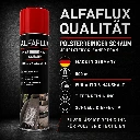 Polsterreiniger-ALF-PR500-3.webp