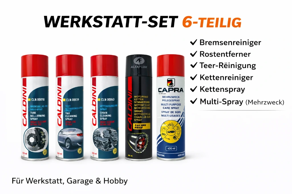 Werkstatt-Set 6-teilig | Bremsen-, Ketten-, Teer-Reiniger, Rostlöser Multi-Spray