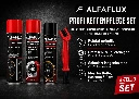 ALFALFUX Kettenpflege SET – 4 teilig